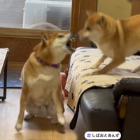 ついにブチギレ！！