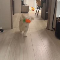 なんだか走り方が変！？