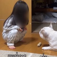 おもちゃをあげる女の子