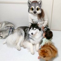 弟くんに集まる