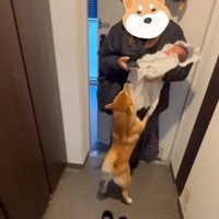 ママに飛びつくおもちくん