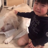 男の子