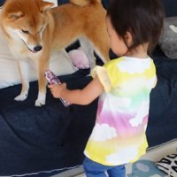 別のおもちゃを持ってきてくれました