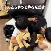 「こうやってなでるんだよ」