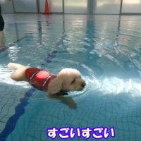 少し慣れてきたようです♪