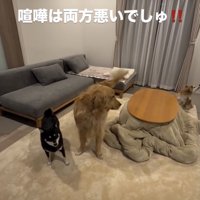 余裕あふれる男、福くん