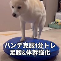 リハビリがルーティン