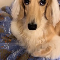 上目遣いでおねだり♡
