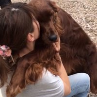 ぴったり寄り添う犬