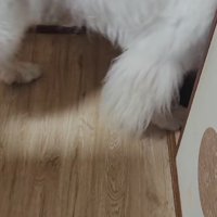 切ない背中にホッコリ