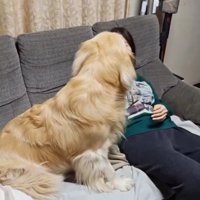 一瞬落ち着くブランくん
