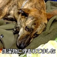 まさかの場所にいたりゅうさん5
