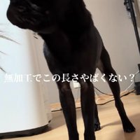 足が長い！！