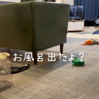 お風呂から出た時のポポちゃんの態度7