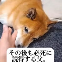 必死の説得もスルー