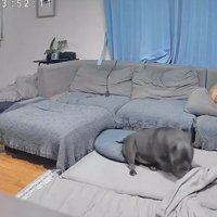 寝顔を見て満足