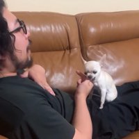 また指をかじる鱈ちゃん