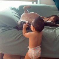 ゆめちゃんの口を触るハリーくん