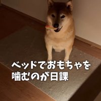 なんとも健気…