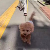 奇跡的な回復に涙…