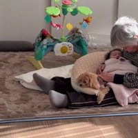 3人が一緒にお昼寝