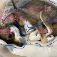 顔見知りはお断り