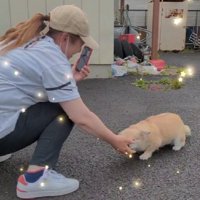 久しぶりになでてもらう