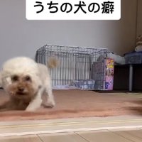 「どんな話か聞かせて！！」