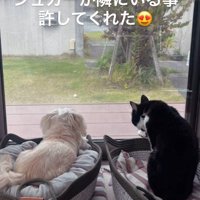 徐々に距離が縮まった