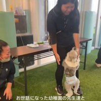 先生に駆け寄る小型犬