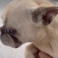 体は汚れて左目は失明していた