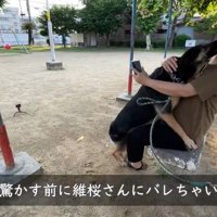 愛が止まらない♡