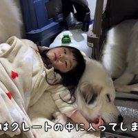 むぅむぅちゃんが降りられなくなった！