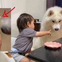 「これだけ？」