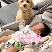 たわし君のナイトルーティン