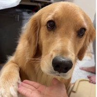 「さっきはごめんね」