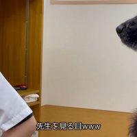 「先生、やめてね」