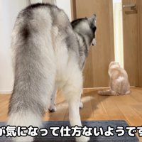 「どんな子かな…？」