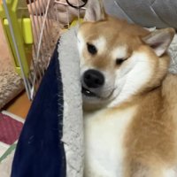 束の間の1人時間を満喫