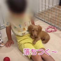 リラックスするクララちゃん