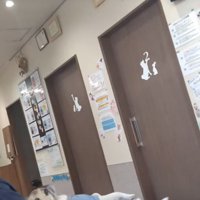 リラックスして座る犬