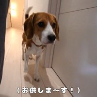 ペコちゃんがついてきました！