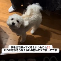しっぽもお尻もフリフリ♪