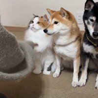 最後はルナちゃんの番！