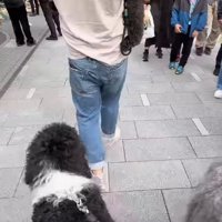目を引く一行に