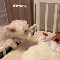 うたちゃんと赤ちゃんの初対面
