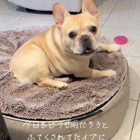 「すぐ行こ！」