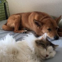 リラックスすることを教わった