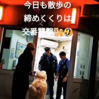 警察官に撫でてもらう秋田犬