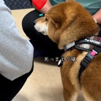 看護師さんが来ると…